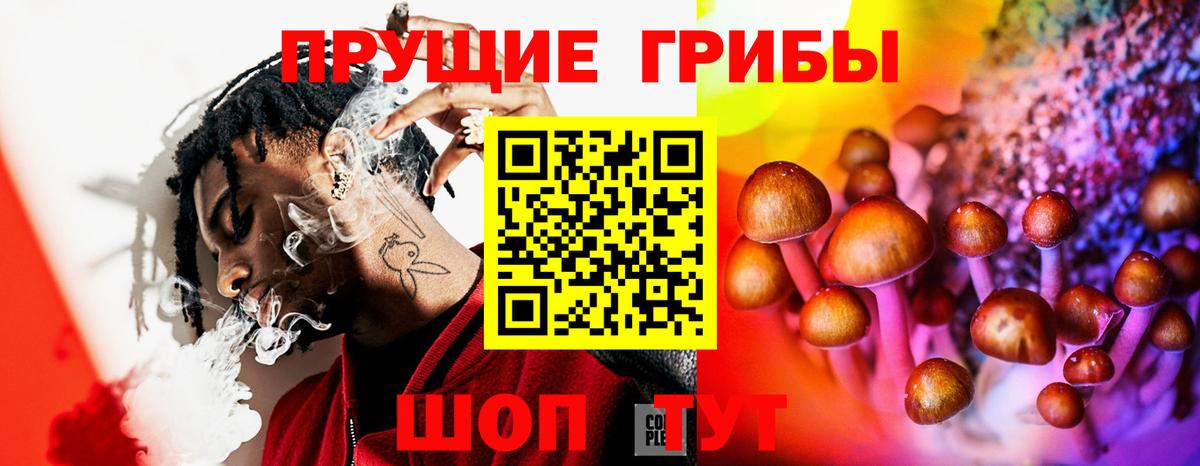 Печора  Псилоцибиновые грибы мицелий  Вход с VPN 