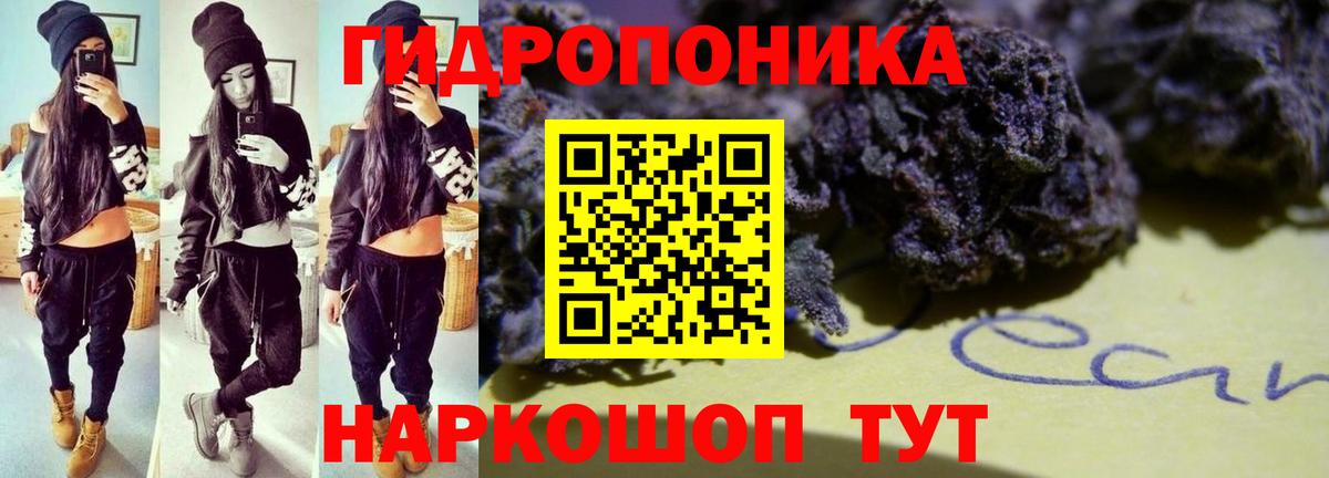 Бошки марихуана VHQ Печора